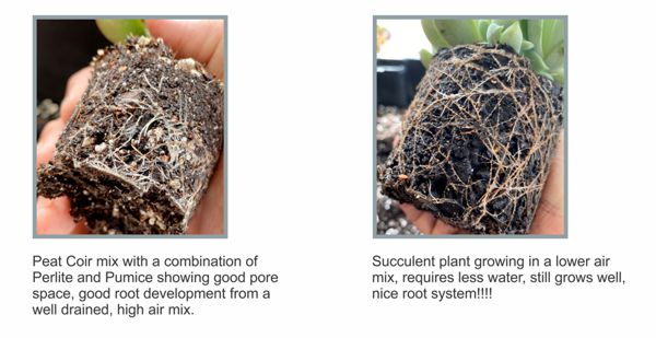 POTTING MIX